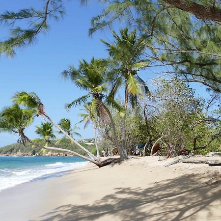 La Villa Caribeenne De La Plage Des Surfeurs La Trinité Exterior foto