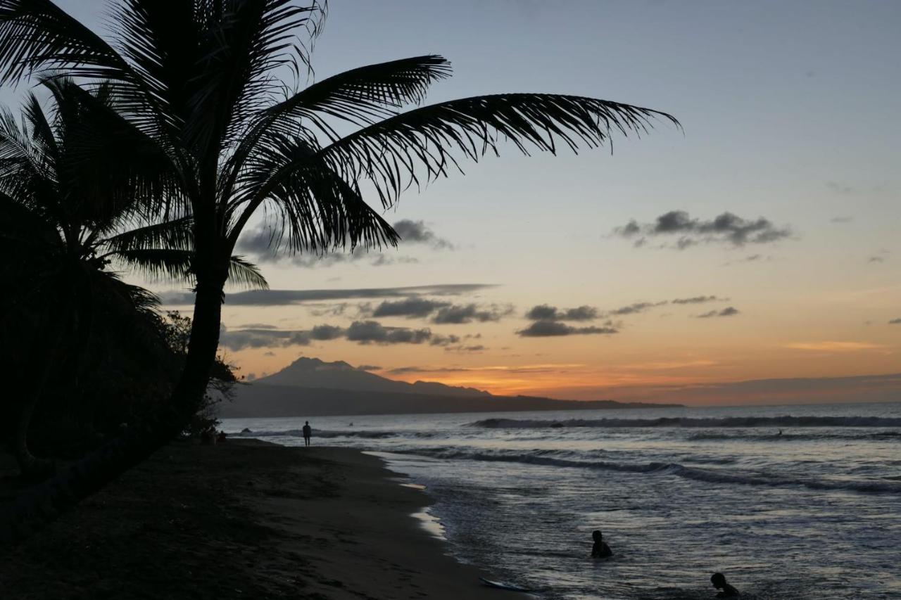La Villa Caribeenne De La Plage Des Surfeurs La Trinité Exterior foto