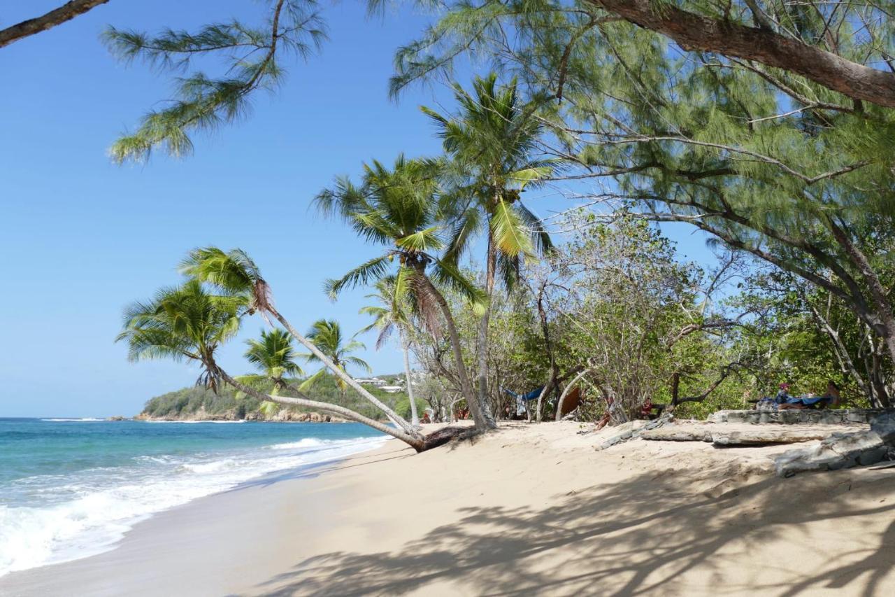 La Villa Caribeenne De La Plage Des Surfeurs La Trinité Exterior foto